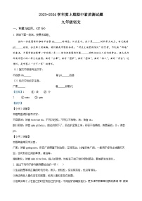 河南省驻马店市汝南县2023-2024学年九年级上学期期中语文试题（解析版）