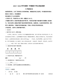 江苏省淮安市淮安区2023-2024学年八年级上学期期中语文试题（解析版）