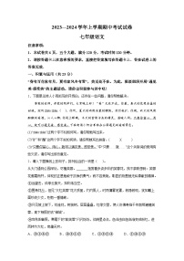 河南省长垣市2023-2024学年七年级上册期中语文试题（含解析）