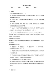初中语文人教部编版八年级下册社戏当堂检测题