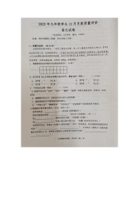 江苏省泰州市兴化市2023-2024学年九年级上学期12月月考语文试题