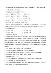 2022-2023学年辽宁省沈阳市苏家屯区八年级（上）期末语文试卷（含详细答案解析）