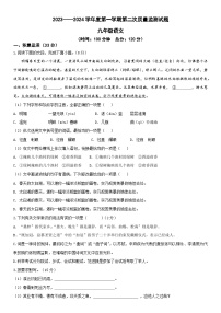 山东省枣庄市滕州市滨湖镇滨湖中学2023-2024学年九年级上学期第二次月考语文试题