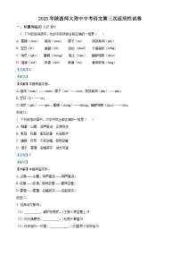 陕西省西安市陕西师范大学附属中学2022-2023学年九年级下学期月考语文试题答案