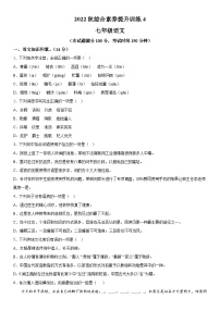 云南省昭通市永善县第三中学2022-2023学年七年级上册期末语文试题（含解析）