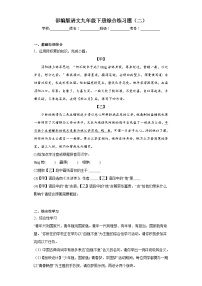 部编版语文九年级下册综合练习题（二）