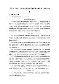 说明文阅读-2024年中考语文模拟题分类汇编（2021-2023年）（文字版 含答案）
