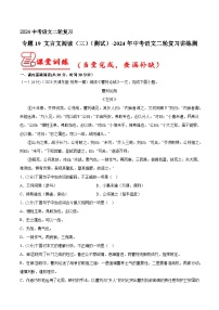 专题19 文言文阅读（三） 测试（答案与解析版）2024年中考语文二轮复习讲练测（全国通用）
