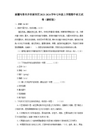 新疆乌鲁木齐市新市区2023-2024学年七年级上学期期中语文试卷