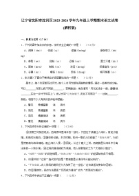 辽宁省沈阳市沈河区2023-2024学年九年级上学期期末语文试卷