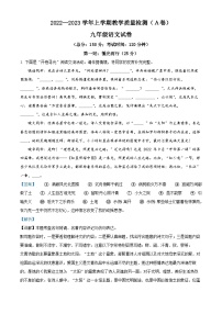 福建省漳州市2022-2023学年九年级上学期期末语文试题A卷
