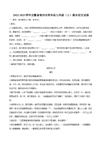 2022-2023学年安徽省亳州市利辛县九年级（上）期末语文试卷（含详细答案解析）