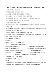 2022-2023学年广东省茂名市高州市九年级（上）期末语文试卷（含详细答案解析）