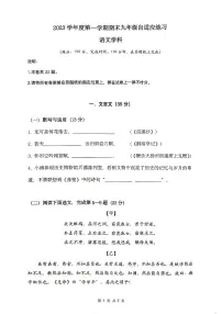 上海市普陀区2023-2024学年（五四学制）九年级上学期期末考试语文试题