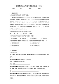 部编版语文九年级下册综合练习（十七）