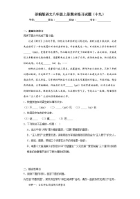 部编版语文八年级上册期末练习试题（十九）