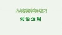 专题02：词语运用（考点串讲）-2023-2024学年九年级语文上学期期末考点大串讲（统编版）课件PPT