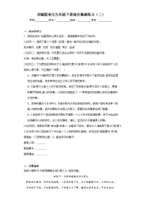 部编版语文九年级下册综合基础练习（二）