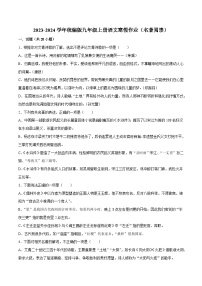 04寒假作业(名著阅读)-2023-2024学年九年级上册语文寒假作业专题(全国通用)