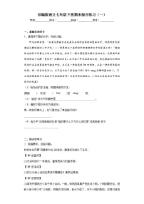 部编版语文七年级下册期末综合练习（一）