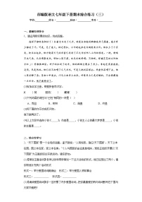 部编版语文七年级下册期末综合练习（三）
