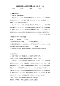 部编版语文八年级下册期末综合练习（二）