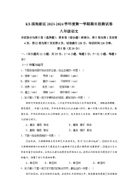 天津市滨海新区2023-2024学年八年级上册期末语文试题（含解析）
