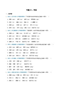 专题01：字音-2023-2024学年七年级上册语文期末专项复习热点题型