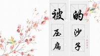 人教部编版八年级下册被压扁的沙子精品教学课件ppt