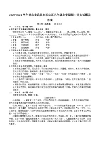 2020-2021学年湖北省武汉市洪山区八年级上学期期中语文试题及答案