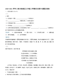 2020-2021学年上海市杨浦区九年级上学期语文期中试题及答案