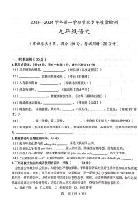 广东省梅州市丰顺县2023-2024学年九年级上学期期末考试语文试题