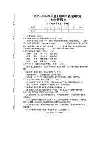 河南省驻马店市确山县2023-2024学年七年级上学期1月期末素质测试语文试卷