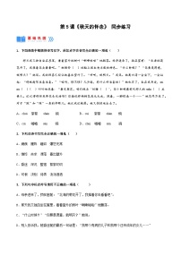 初中人教部编版秋天的怀念完美版备课教学ppt课件