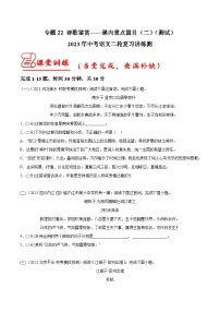 专题22 诗歌鉴赏——课内重点篇目（二）（测试）-中考语文二轮复习讲练测（全国通用）