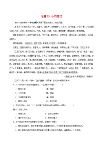 专题23 小石潭记-备战2024年中考语文之文言文对比阅读（全国通用）