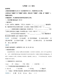 安徽省池州市贵池区2023-2024学年七年级上学期期末语文试题