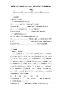 安徽省宿州市埇桥区2023-2024学年九年级上学期期末语文试题(含答案)