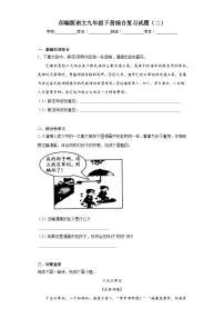 部编版语文九年级下册综合复习试题（二）