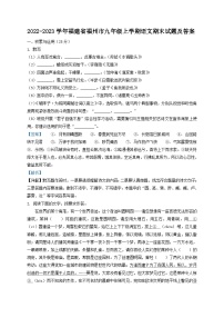 2022-2023学年福建省福州市九年级上学期语文期末试题及答案