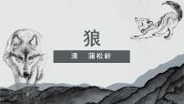 人教部编版七年级上册狼评课ppt课件