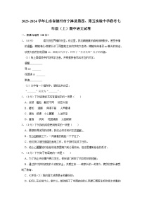 2023-2024学年山东省德州市宁津县第四、第五实验中学联考七年级（上）期中语文试卷