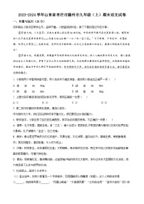 山东省枣庄市滕州市2023-2024学年九年级上学期期末语文试题（原卷+解析）