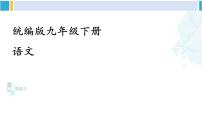 初中语文人教部编版九年级下册枣儿课文配套ppt课件