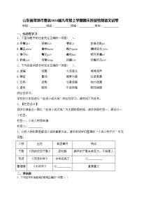 山东省菏泽市曹县2024届九年级上学期期末质量检测语文试卷(含答案)