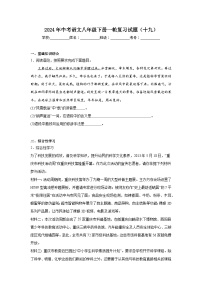 2024年中考语文八年级下册一轮复习试题（十九）