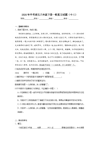 2024年中考语文八年级下册一轮复习试题（十三）
