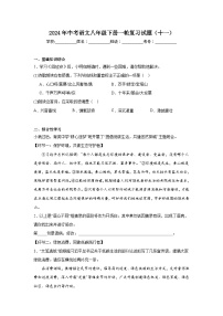 2024年中考语文八年级下册一轮复习试题（十一）