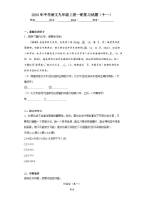 2024年中考语文九年级上册一轮复习试题（十一）