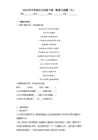 2024年中考语文九年级下册一轮复习试题（九）